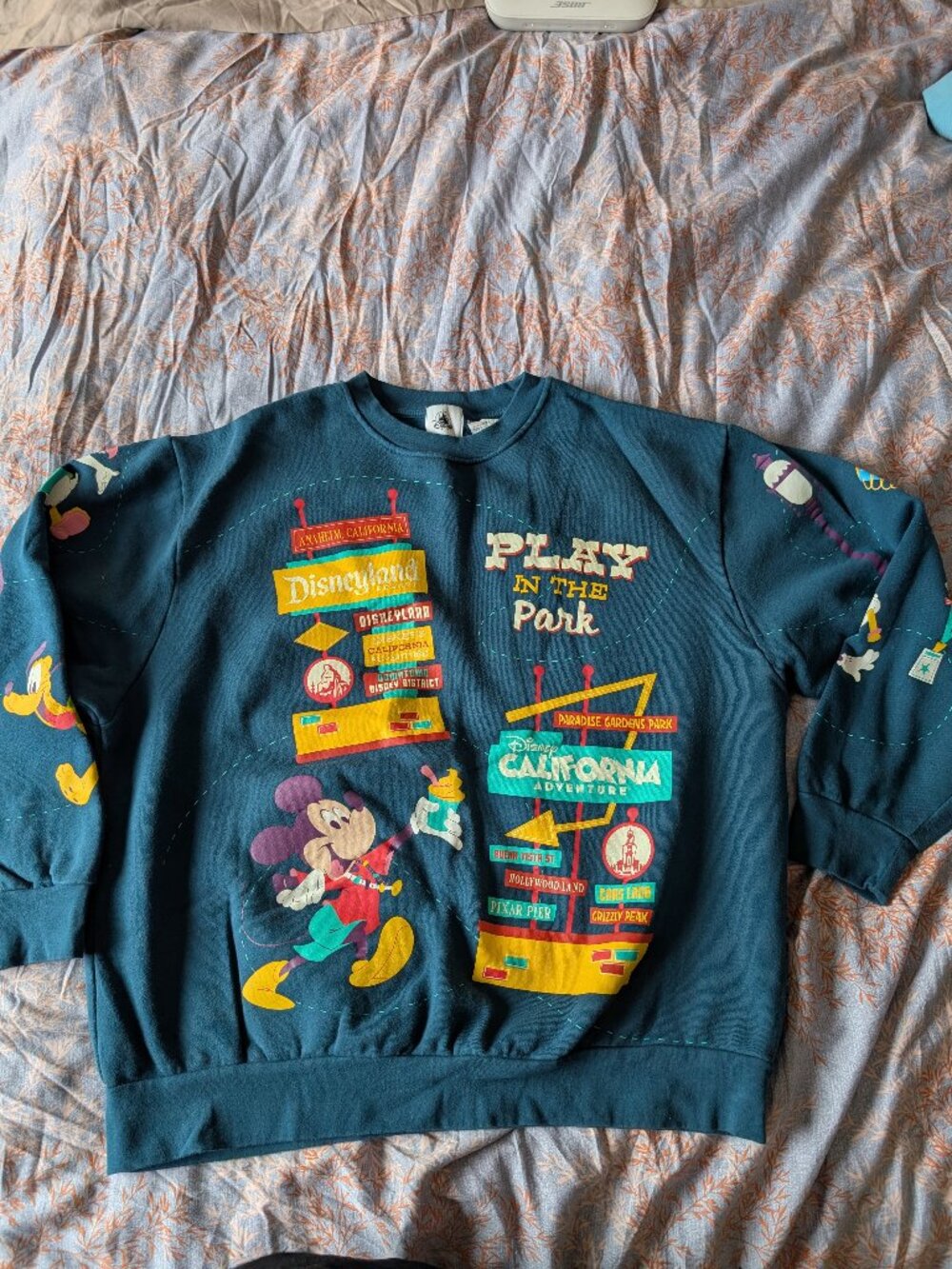 DIsneyland 2024 Play In The Park sweater